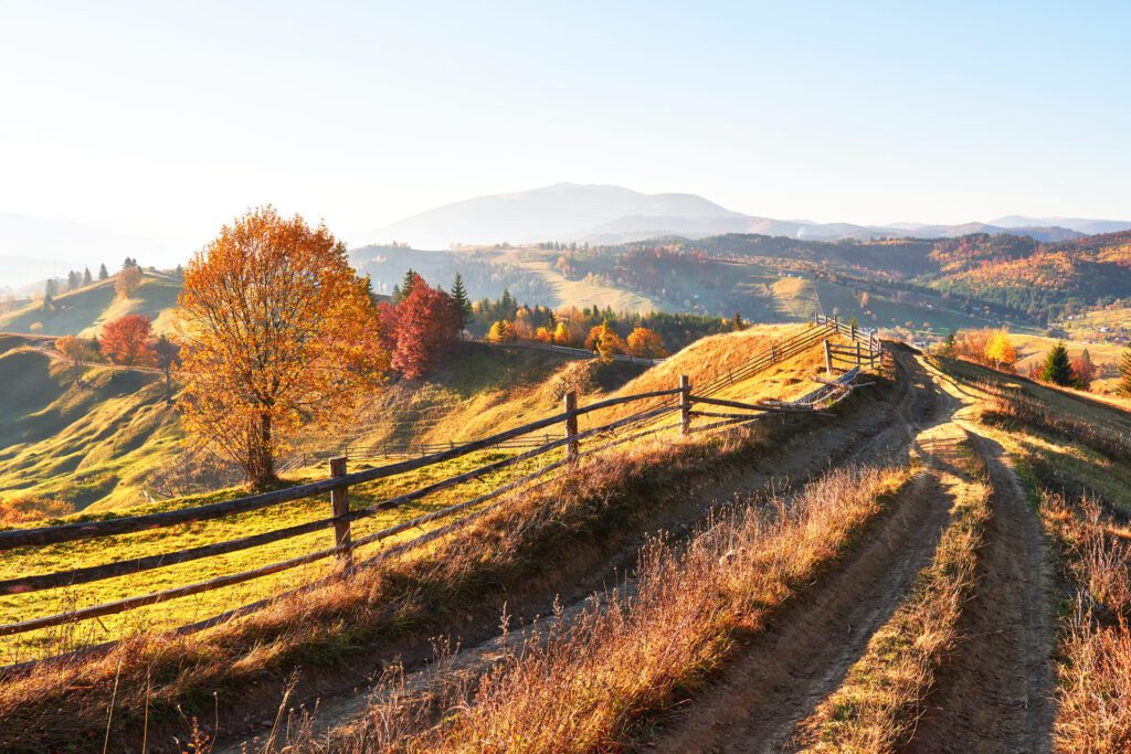Turismo d'autunno, il fuori stagione attrae - quali sono le destinazioni e le soluzioni miglioriTurismo d'autunno, il fuori stagione attrae - quali sono le destinazioni e le soluzioni migliori